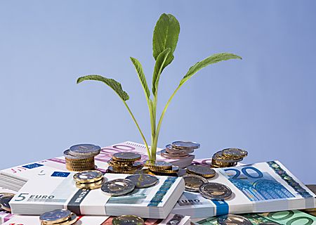 Eine Alternative: Dividendenfonds