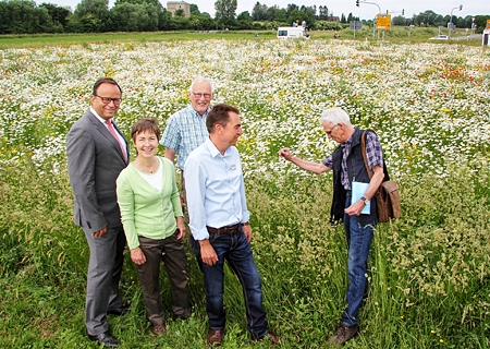 Die neue 3.000 Quadratmeter große Wildblumenwiese zwischen B 57 und der Xantener Südsee ist nicht nur eine Augenweide, sondern hilft vom Aussterben bedrohten Insekten und Tieren. Wie es vorher dort aussah, zeigten Hannelie Steinhoff (2. v.l.), Dr. Wilhelm Podlatis (daneben) und Manfred Müller vom Berge (r.) Sparkassenvorstand Frank-Rainer Laake (l.) und FZX-Betriebsleiter Harald Gillmeister (4. v.l.).