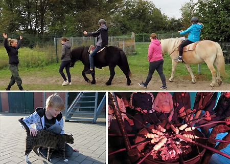 Ihre inklusive Ferienwoche auf dem Bauernhof genossen die Kinder nicht nur beim Spielen im Maisbad. Der Familienunterstützende Dienst der Caritas Wohn- und Werkstätten Niederrhein sorgte für ein abwechslungsreiches, naturnahes Programm.