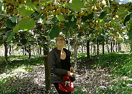 Sechs Wochen arbeitete Lina auf einer Kiwi-Plantage in Neuseeland. Im Dezember war dort Hochsommer und Lina band den ganzen Tag Blätter hoch, damit die Früchte bis zur Ernte genug Sonne bekamen. 