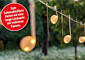 Lange Liednacht